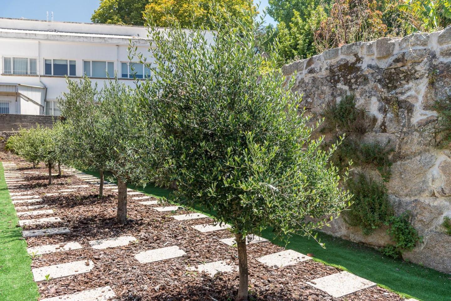 Guestready - Jardim Oliveiras Apartament *